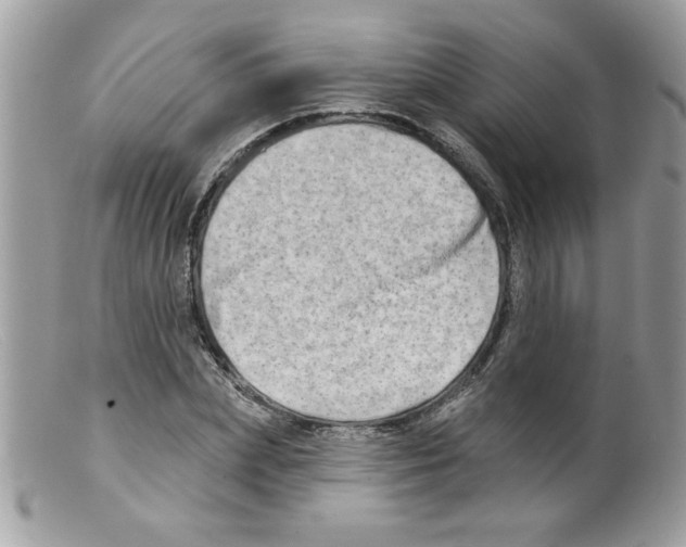 X0000098130831200805151114