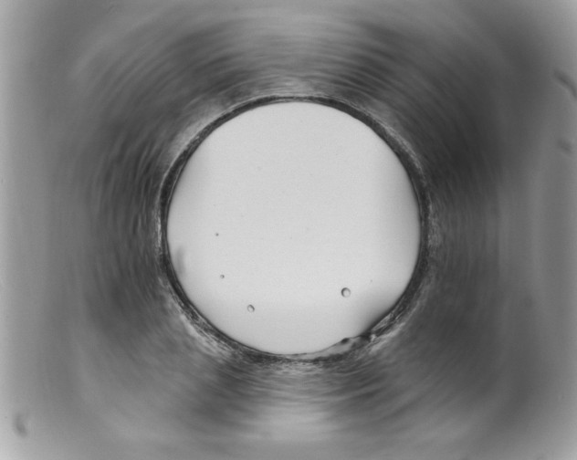 X0000098130837200805151114