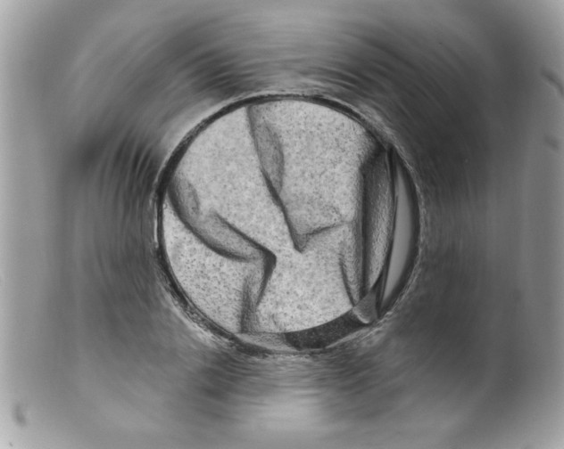 X0000098130838200805151114