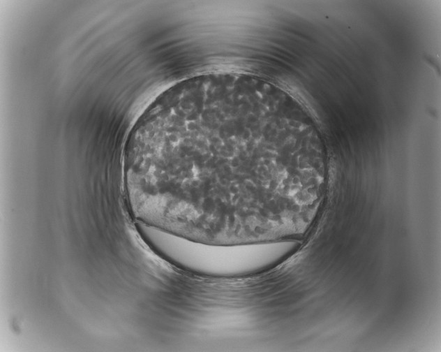 X0000098130844200805151114
