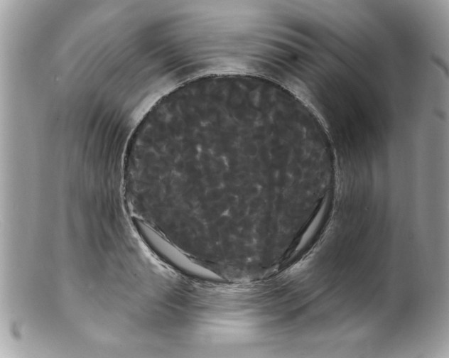 X0000098130845200805151114