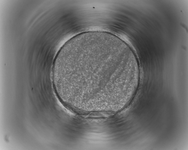 X0000098130847200805151114