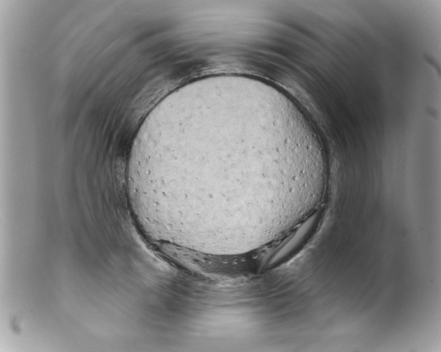 X0000098130849200805151114