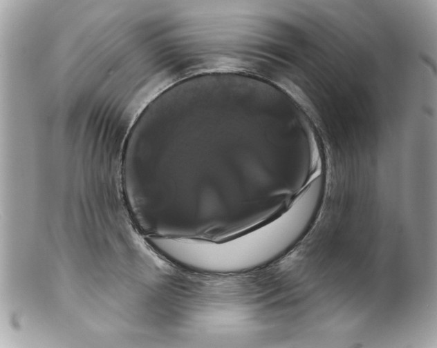 X0000098130850200805151114