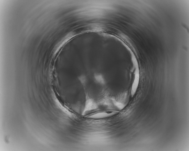 X0000098130851200805151114