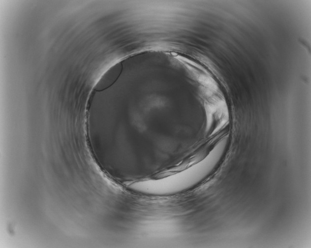 X0000098130853200805151114