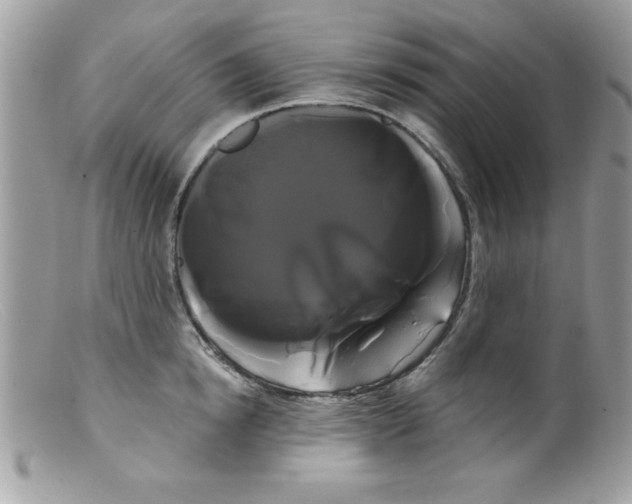 X0000098130854200805151114