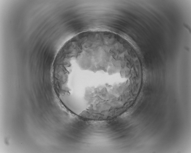 X0000098130856200805151114