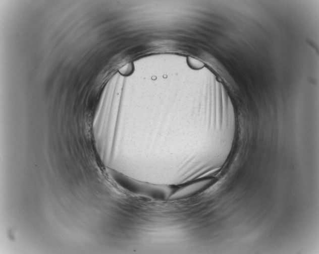 X0000098130857200805151114