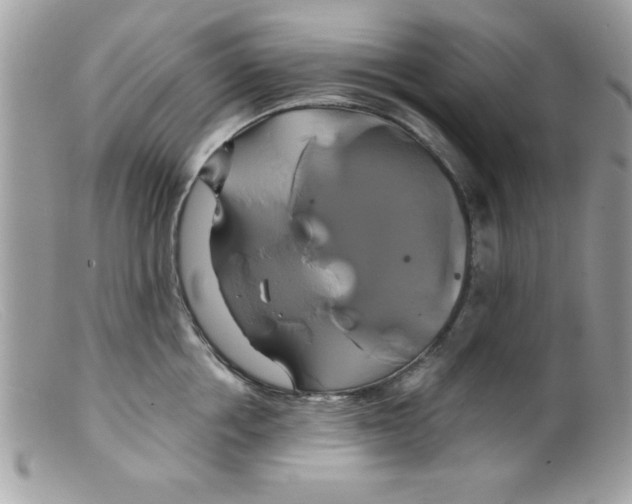 X0000098130858200805151114