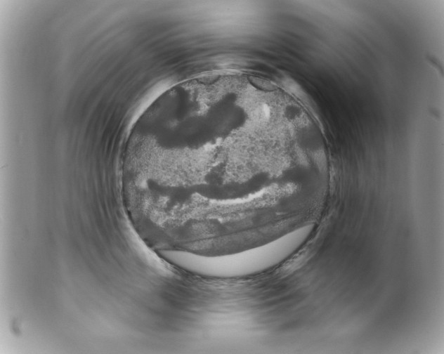 X0000098130859200805151114