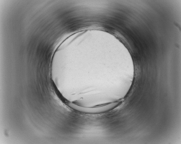 X0000098130860200805151114
