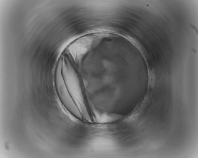 X0000098130862200805151114