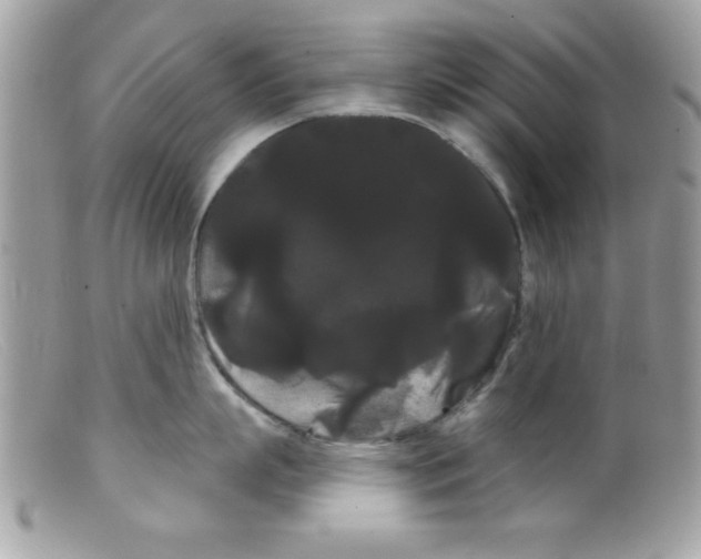 X0000098130863200805151114