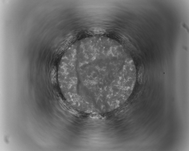 X0000098130866200805151113