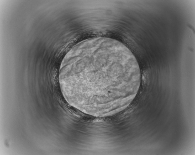 X0000098130867200805151113
