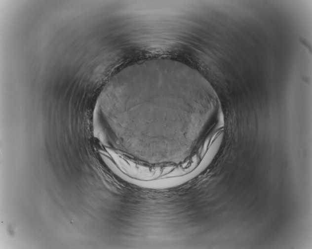 X0000098130868200805151113