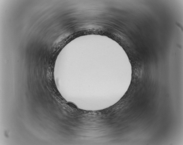 X0000098130869200805151113