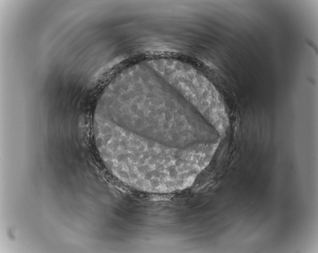 X0000098130870200805151113