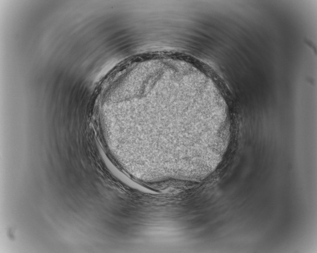 X0000098130871200805151113
