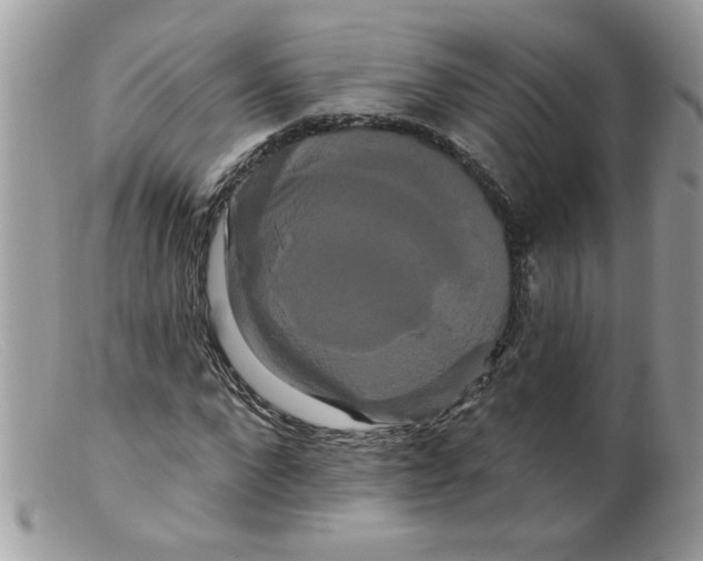 X0000098130872200805151113