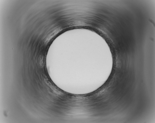 X0000098130873200805151113