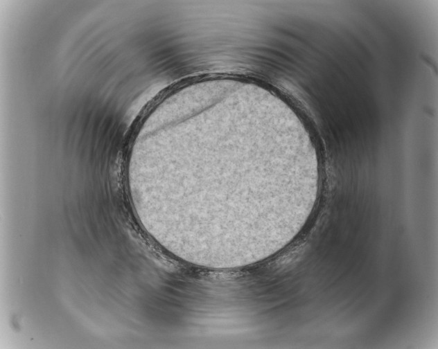 X0000098130875200805151113