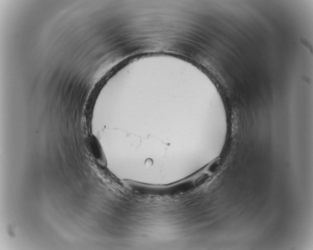 X0000098130876200805151113