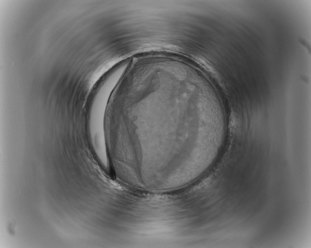 X0000098130877200805151113