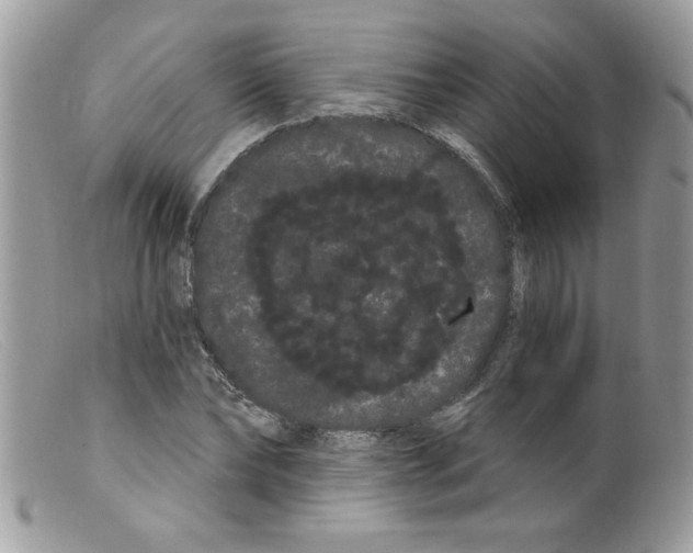 X0000098130878200805151113