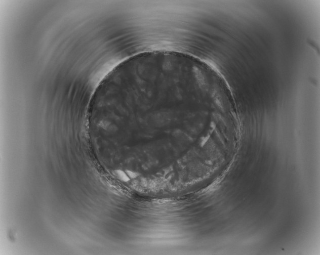 X0000098130879200805151113