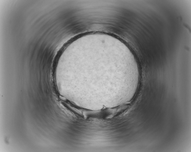 X0000098130880200805151113