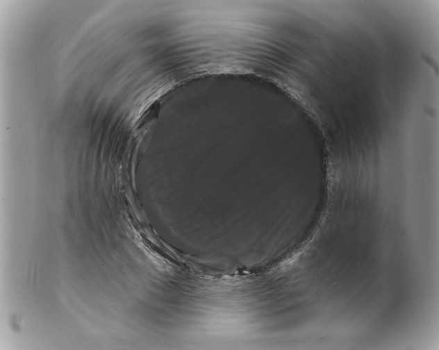 X0000098130881200805151113