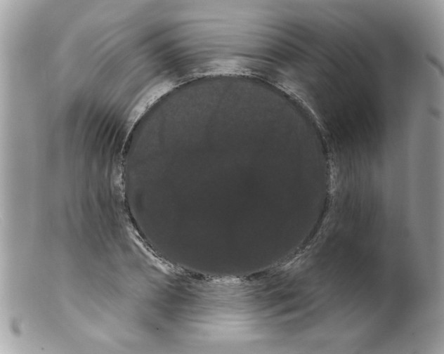 X0000098130882200805151113
