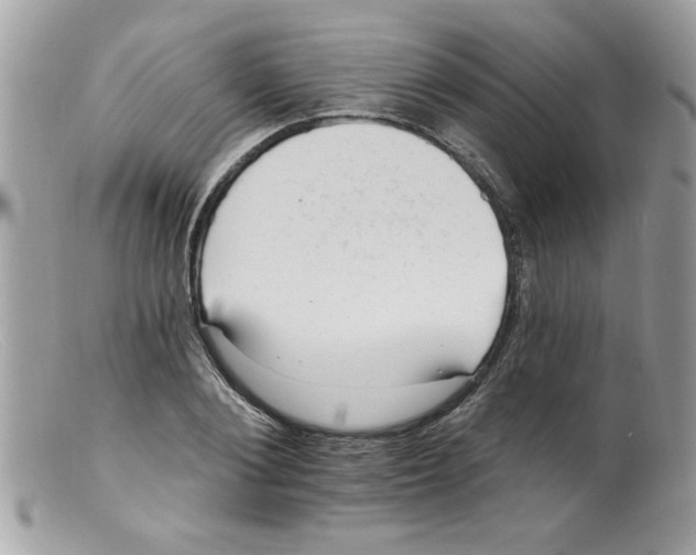X0000098130884200805151113