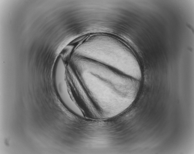 X0000098130885200805151113