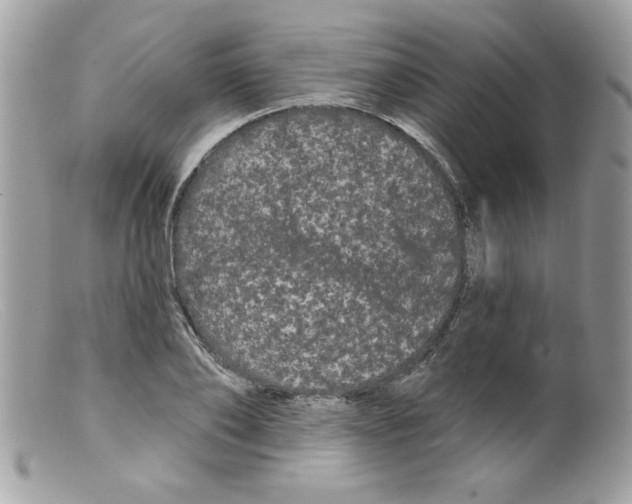 X0000098130886200805151113