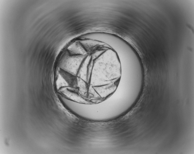 X0000098130888200805151113