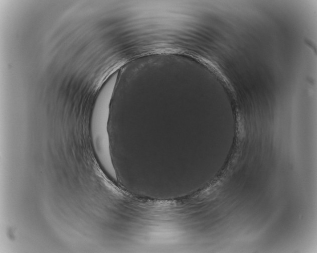X0000098130889200805151113