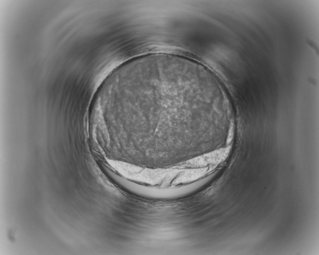 X0000098130891200805151113