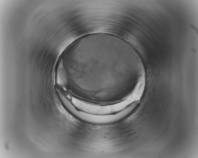 X0000098130892200805151113