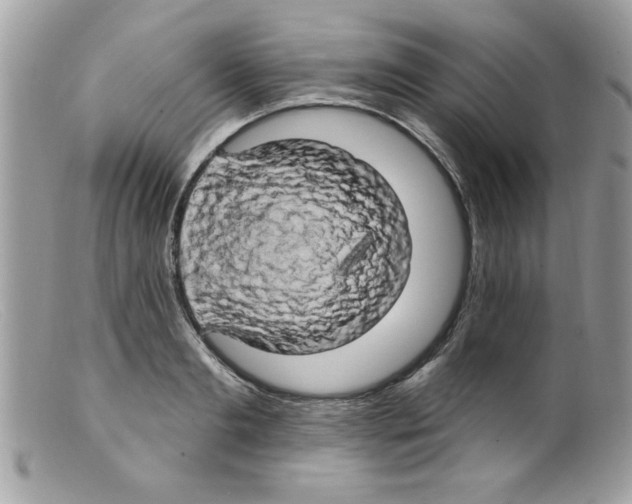 X0000098130893200805151113