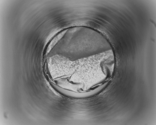 X0000098130894200805151113