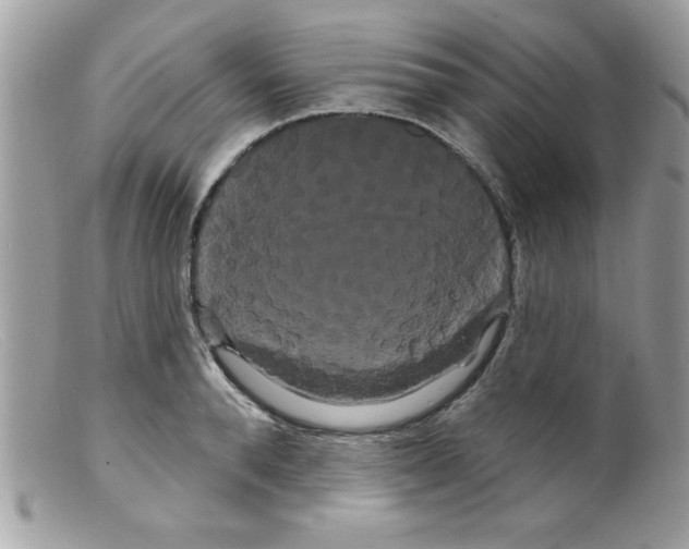 X0000098130896200805151113