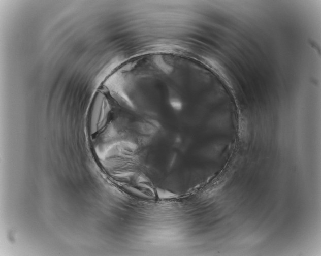 X0000098130899200805151113
