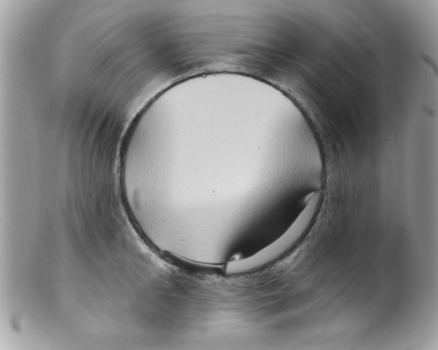 X0000098130902200805151113