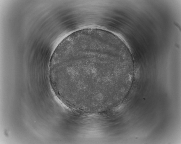 X0000098130903200805151113