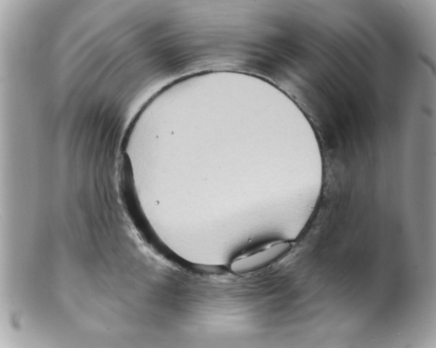 X0000098130904200805151113