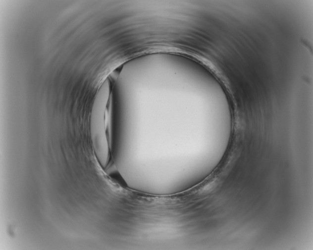 X0000098130905200805151113