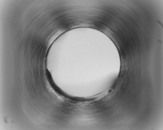 X0000098130906200805151113